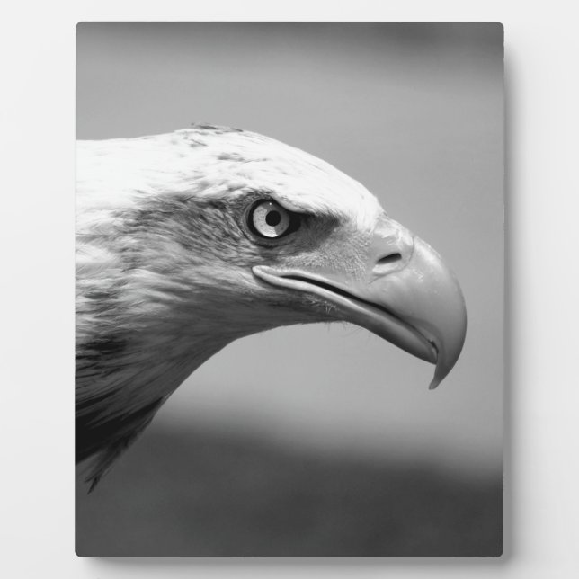 Plaque Photo Oeil d'aigle noir et blanc (Devant)