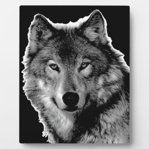 Plaque Photo Oeuvre de Loup noir et blanc