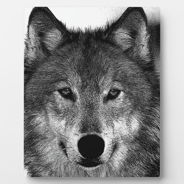 Plaque Photo Oeuvre de Loup noir et blanc (Devant)