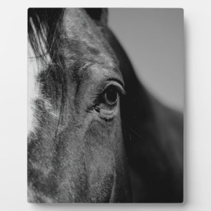 Plaque Photo OEuvre d'oeil noir blanc