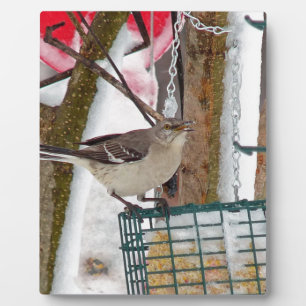 Plaque Photo Oiseau