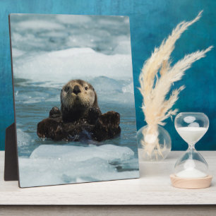 Plaque Photo Otter flottante