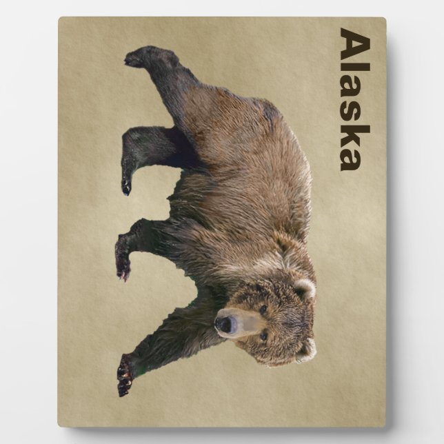 Plaque Photo Ours Kodiak Sur Papier Ancien (Devant)