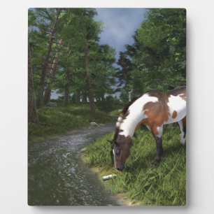 Plaque Photo Paint Horse by Forest Stream
