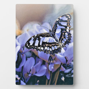 Plaque Photo Papillon bleu