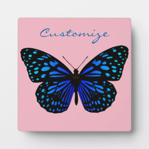 Plaque Photo Papillon bleu Thunder_Cove