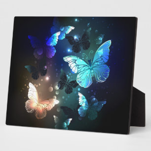 Plaque Photo Papillon de nuit