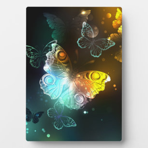Plaque Photo Papillon lumineux et papillons de nuit