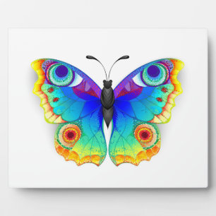 Plaque Photo Papillon Paon Arc-en-Ciel