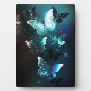 Plaque Photo Papillons de nuit