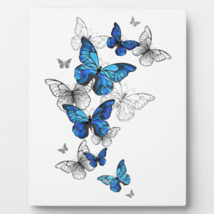Plaque Photo Papillons volants bleus Morpho