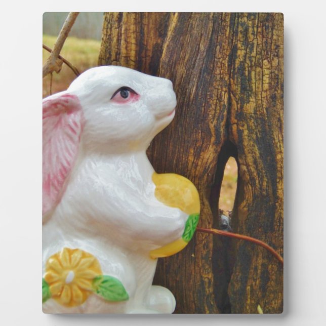 Plaque Photo Pays Lapin de Pâques (Devant)