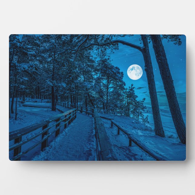 Plaque Photo Paysage d'hiver avec pinède enneigée (Devant)