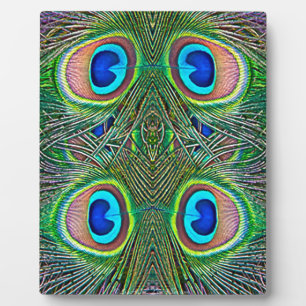 Plaque Photo Peacock Feathers