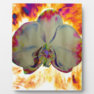 Plaque Photo Peinture florale tropicale abstraite d'orchidée