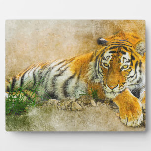 Plaque Photo Peinture sur tigre