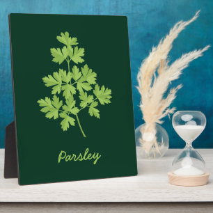 Plaque Photo Persil