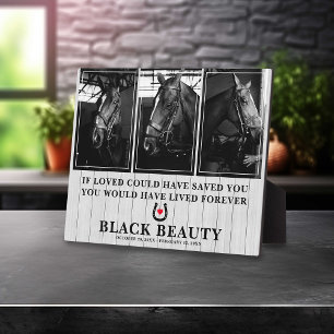 Plaque Photo Perte de Cheval pour animaux   Horse 3 Photo Plaqu