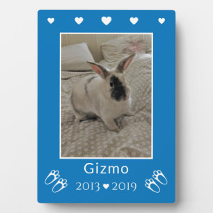 Plaque Photo Perte d'un lapin de compagnie pour enfants Mémor