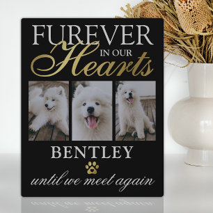 Plaque Photo Pet Dog Memorial Photo Keepsake