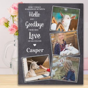 Plaque Photo Pet Memorial Animaux de compagnie Perdre la sympat