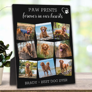 Plaque Photo Pet Memorial Animaux de compagnie Perte 9 Photos u