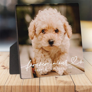 Plaque Photo Pet Memorial Forever Hearts Simple Photo moderne