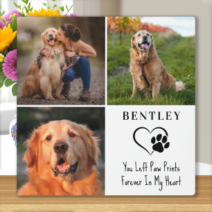 Plaque Photo Pet Memorial Personnalisé 3 Photos Empreintes de p