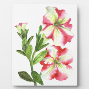 Plaque Photo Pétunias rose et blanc Art Floral