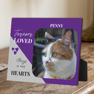Plaque Photo Photo de chat Sympathie Cadeau de souvenir Mémoria