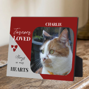 Plaque Photo Photo de chat Sympathie Cadeau souvenir Mémorial d