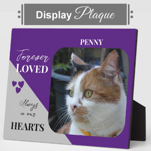 Plaque Photo Photo de chat Sympathy Keepsaké Pet Memorial viole