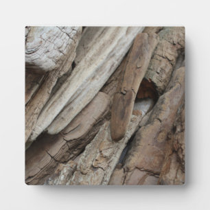 Plaque Photo Photo de Shoreline Driftwood