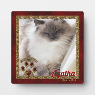 Plaque Photo Photo Mémorial de Chat Himalayen