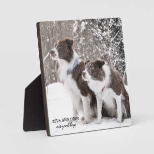 Plaque Photo Photo souvenir de compagnie de chien