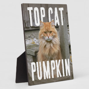 Plaque Photo PhotoPop Meilleur Chat