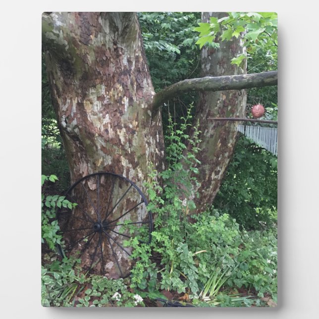 Plaque Photo Pluie estivale molle (Devant)