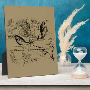 Plaque Photo Poissons Constellation Hevelius 1690 Décor