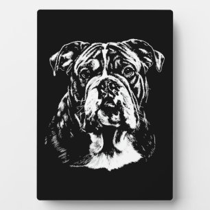 Plaque Photo Portrait de Bouledogue Anglais Vêtements Minimalis
