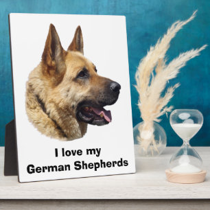 Plaque Photo Portrait de chien berger allemand alsacien