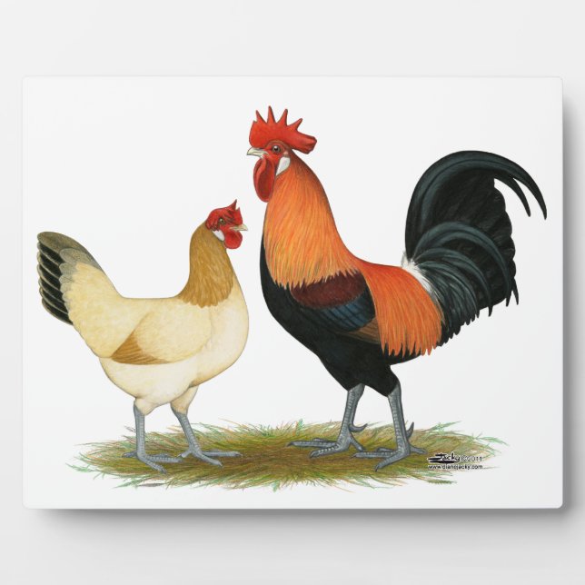 Plaque Photo Poulets de Penedesenca (Devant)