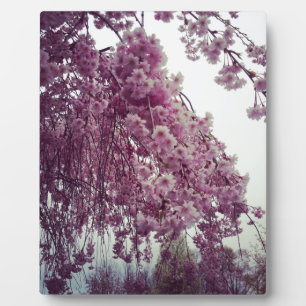 Plaque Photo Printemps