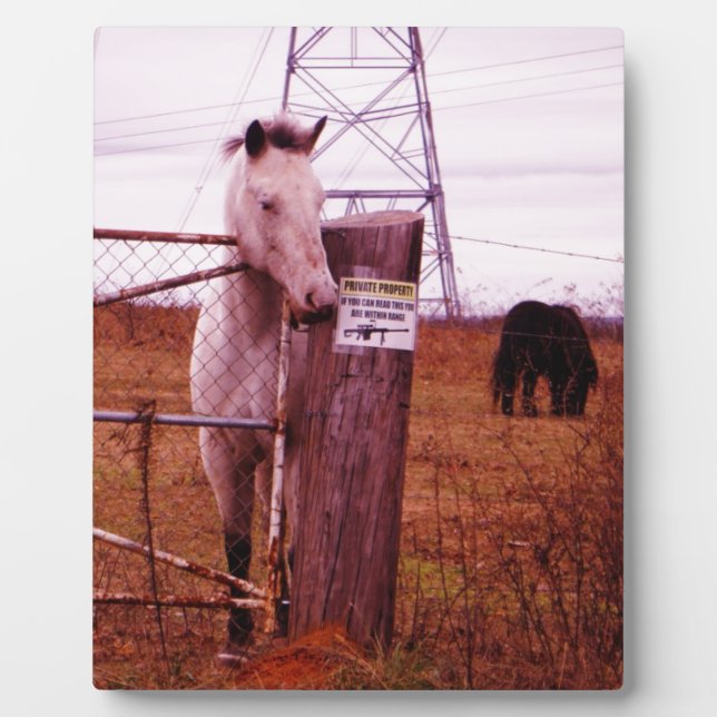 Plaque Photo Propriété privée lavender Horse (Devant)