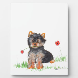Plaque Photo Pub de Yorkshire terrier
