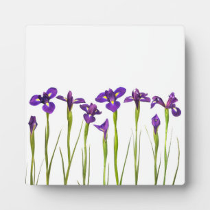 Plaque Photo Purple Irises - Iris Flower Customisé Modèle