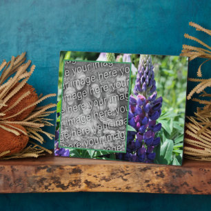 Plaque Photo Purple Lupine Flower Ajoutez Votre Propre Photo