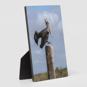 Plaque Photo Puzzle pélican Brown