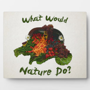 Plaque Photo Que ferait la nature