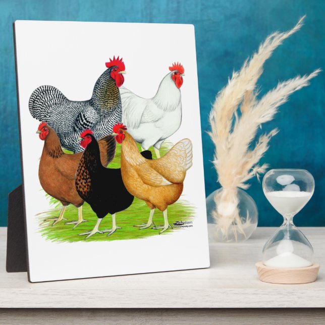 Plaque Photo Quintette de poulet liée au sexe (Côté)