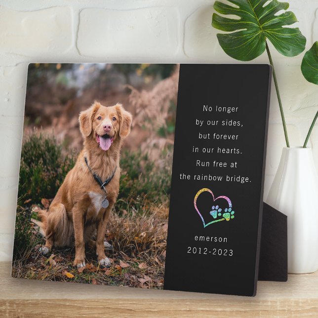 Plaque Photo Rainbow Parties scintillant Black Photo Pet Memori (Créateur téléchargé)